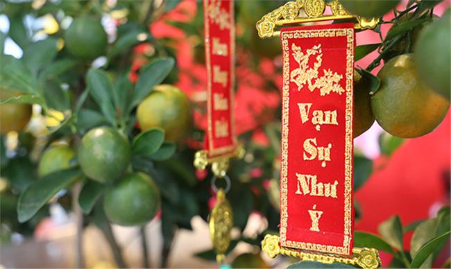 Tet Fest – Vietnamesisches Neujahr (Tết Nguyên Đán)